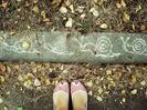 autumn008