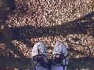 autumn009