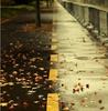 autumn020