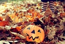 autumn026