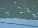 DSC01374