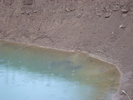 DSC01427