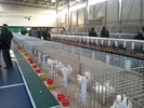 2011-01-30 09.44.10