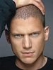 wentworth_miller1_0