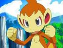 chimchar baiat lvl 10 stie:roata e foc,fire blitz,protect,dig.