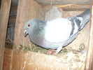 P1030450