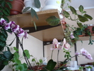 P1060170