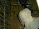 DSC01191