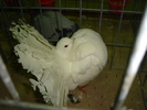DSC01192