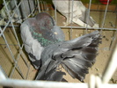 DSC01193