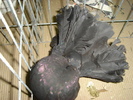 DSC01195
