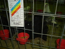 DSC01196