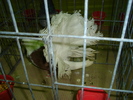 DSC01198