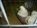 DSC01199