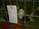 DSC01206