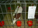 DSC01207