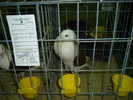 DSC01209