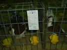DSC01210