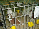 DSC01211