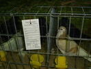 DSC01212