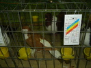DSC01214