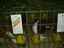 DSC01215