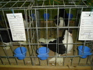 DSC01216
