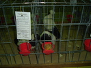 DSC01219