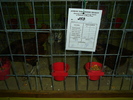 DSC01220