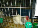 DSC01230