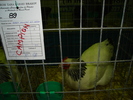 DSC01233