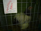 DSC01237