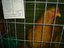 DSC01244