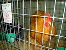 DSC01245