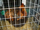 DSC01255