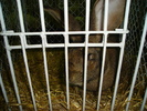 DSC01267