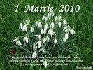 1martie20101