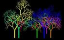 Colorful Trees