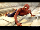 spider man sa catara pe cladire