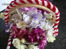DSC02377