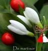 bihter4