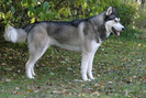 img(19)