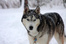img(29)