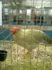 expo2011 (43)