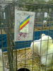 expo2011 (59)