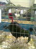 expo2011 (72)