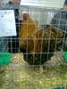 expo2011 (84)