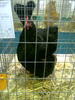 expo2011 (89)