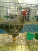 expo2011 (92)