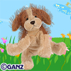 cocker spaniel